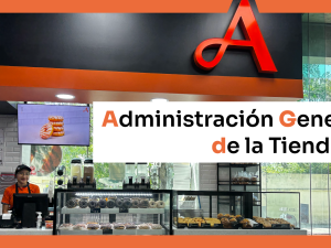 curso thumbnails